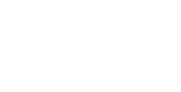Spider Web