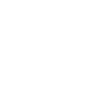Spider Web