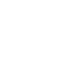 Spider Web